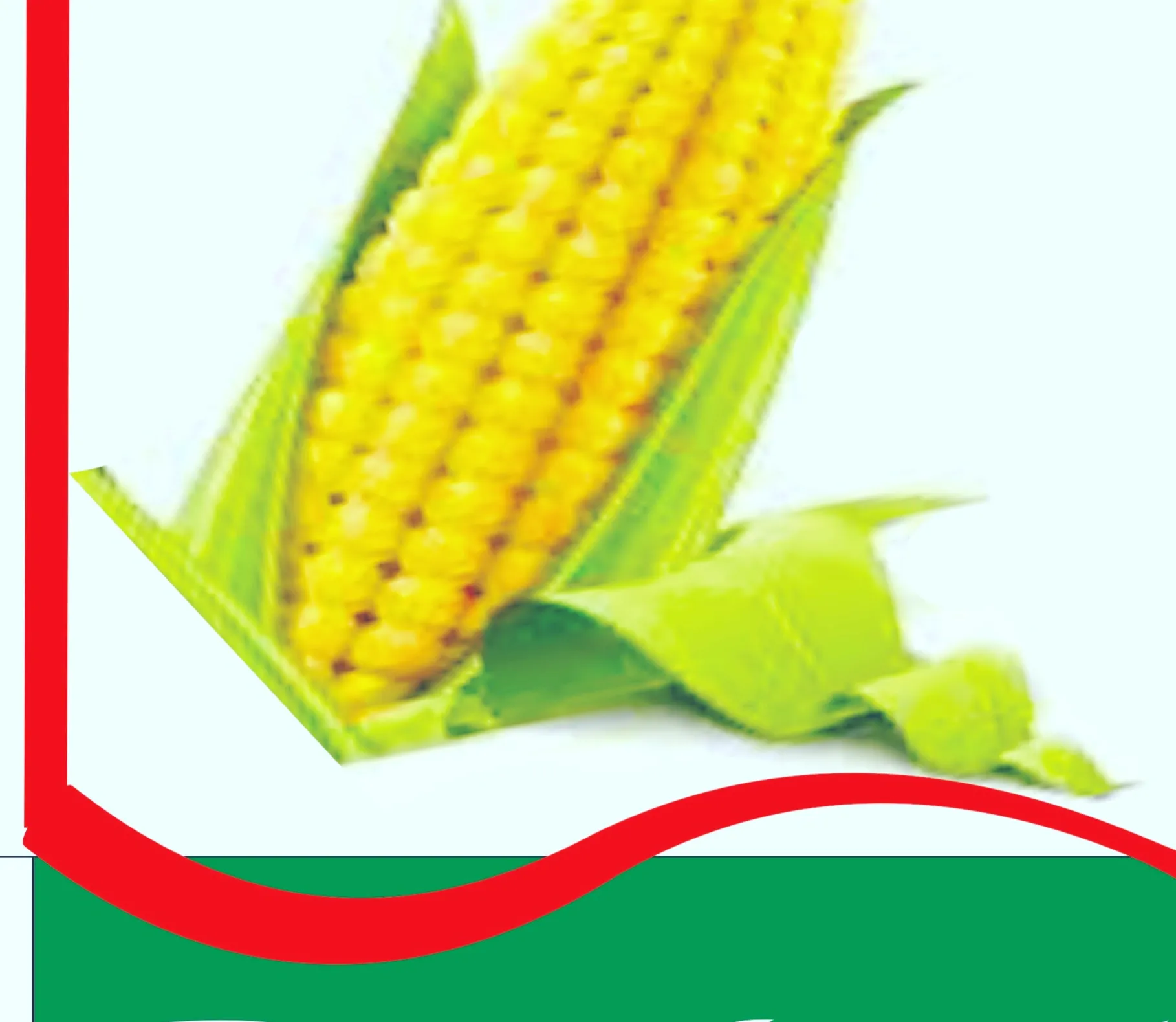 Rural Agricultural Transformation and Empowerment Initiative
